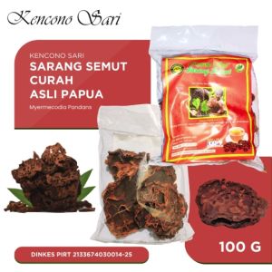 Teh Sarang Semut Curah Kencono Sari Asli Original Papua Herbal
