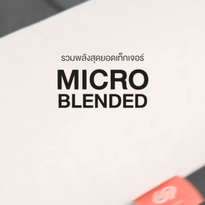 SiamLatex Micro Bolster หมอนข้างยางพาราไมโคร เนื้อแน่น เด้ง ยางปั่นอัดแน่นพิเศษ อายุการใช้งาน 10 ปี