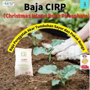 Baja penggalak Akar CIRP（Christmas Island Rock Phosphate）