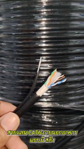 สาย lan cat6 Outdoor สลิง  cat6 ภายนอกอาคาร สลิง 100M/300M