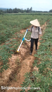 เหล็กกล้าไร้สนิม เครื่องหยอดปุ๋ย เป้หยอดปุ๋ย ไม่ต้องก้มใส่ปุ๋ยอีกต่อไป ถังใส่ปุ๋ย ไม่ต้องก้มให้ปวดหลัง ถังหยอดปุ๋ย【COD+มีสินค้าในสต็อกในกรุงเทพฯ】