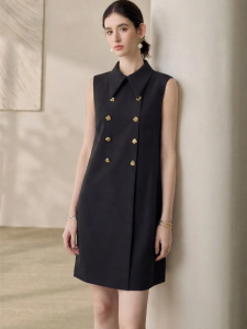 Roey s house | Business Elegant Black Sleeveless Dress