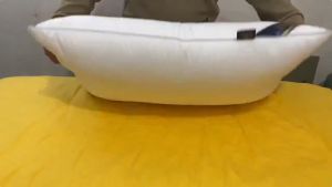 【BUY 1 TAKE 1】500g White Magic Pillow Soft And Comfortable Pillow High Quality 18x28 Inch