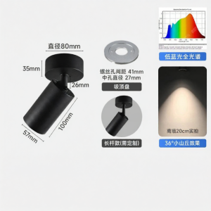 GDDS | Adjustable LED Recessed Downlight Ceiling Light