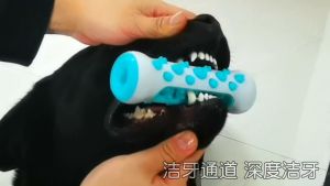 ของเล่นหมา เชือกกัดสุนัข กระดูกแทะสุนัข กระดูกซิลิโคน ของเล่นสุนัข บอล ลูกบอล ของเล่นสัตว์เลี้ยง ของเล่นสุนัข ของเล่นสุนัขโต กระดูก