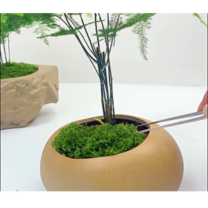 Rêu mô phỏng Rêu nhân tạo dành cho cảnh quan vi mô DIY cây cảnh vườn đá & cảnh giả-NIEVE