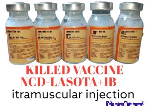 vacc1ne for ncd+ib lasota for chicks chicken animals 10ml