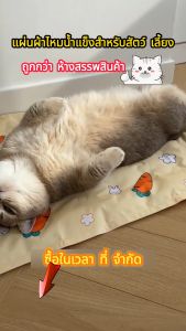 🐱 รุ่นใหม่ล่าสุด ชุดซื้อ 1 แถม 1 สมาชิก 🐶 การเข้ารับความปลอดภัยเย็นสุด ของสัตว์เลี้ยงที่นอนเย็นสุนัข และแมวแผ่นเย็นสุด สำหรับเสียงและน้ำแข็ง ทำให้สวนกว้างขึ้น สุดถึงระดับเย็น ที่นอนใช้สำหรับสัตว์เลี้ยง