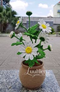 Chậu hoa len móc handmade hoa cúc Daisy – quà tặng decor để bàn xinh xắn | LuuHienYarn