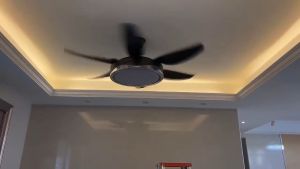 GREEN WIND 52 Inch DC Ceiling Fan With Light Remote Control Led Ceiling Lights