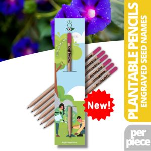 Ecò Plantable Pencil MORNING GLORY Flower Herb & Vegetable Seeds Eco-Friendly Organic Sunflower