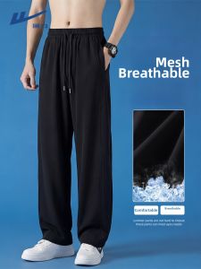 Warrior | Solid Color Breathable Sport Pants