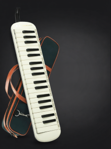 Qimei | Youth Suitable Wind Instrument 37 Keys