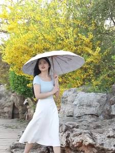 Foldable Waterproof Sun Umbrella