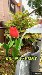 Phân Bón Hoa Hồng Hoa Giấy Hoa Trà Hoa Nhài Cẩm Tú Cầu - Kích Nụ Kích Hoa Nở Đẹp Cây Xanh Tốt 200gr - Bột Hòa Tan Điều Hòa Axit Đất