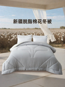 100 Xinjiang Cotton Winter Thickened Warmth Dormitory Quilt