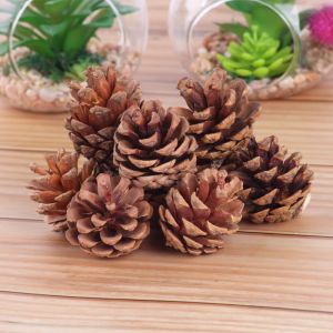 20Pcs Natural Pine Cones for Pet Rabbit Hamster Chew Toys DIY Christmas Wedding Home Decor Crafts Decorative Pinecone Craft Supp