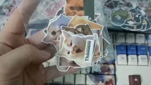 Meme Cat - Combo Set 10/15/30 Sticker meme mèo chú mèo cat hình dán trang trí vali điện thoại..siêu đẹp chống nước chống xước