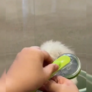 แปรงอาบน้ำสัตว์ แปรงอาบน้ำ2in1 แปรงขัดสัตว์เลี้ยง แปรงทำความสะอาดแมว/สุนัท หวีกำจัดขนสัตว์เลี้ยง สินค้าพร้อมส่งทั่วไทย