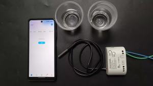 Wifi With Sensor Relay Controller Module Smart Temperature Switch Work with eWeLink APP Alexa Google Home 12V 24V 85-250V 220V