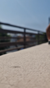 โมเดลรถเหล็ก SUZUKI JIMNY ลิขสิทธิ์แท้ Majorette โมเดลรถ สเกล1/64 มี3สีให้เลือก โมเดล MJ53053ST6 #