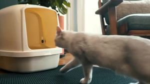 Waterproof Cat Litter Trapper Mat EVA Double Layer Pet Cat Litter Pad Bottom Non-slip Litter Box Mat