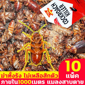 แมลงสาบที่สามารถปลอดภัยในระดับ 1000 เมตร พร้อมยาฆ่าแมลงสาบ 10 ปี