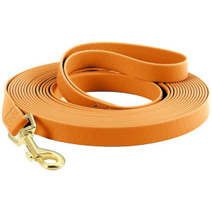 Long PVC Dog Leashes: A Comprehensive Guide