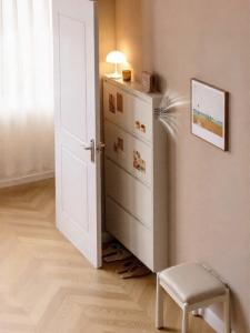 Ultra-thin Ventilated Steel Flipper Cabinet For Home Entry