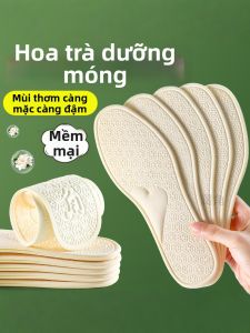 ZUYINBULUO | Đệm Lót Giày Thấm Mồ Hôi Chống Hôi Khử Mùi Thông Thoáng