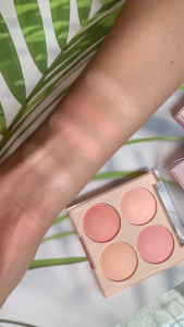 ปลีก/ส่ง Herorange บลัชออนพาเลตต์คอนทัวร์ เนื้อเเมท สีนู้ด ธรรมชาติ สําหรับแต่งหน้า No.HR561