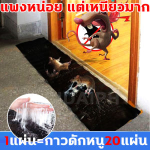 1 แผ่นกาวดักหนู 20 แผ่น ขนาดกาว 120*28cm ยาวและกว้างขึ้นแพงหน่อย ถาดกาวดักหนู แน่นๆ อย่างง่าย กาวดักหนู สำเร็จรูป ถาดกาวดักหนู