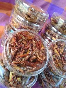 GORENGAN WALANG BESAR TOPLES NASTAR