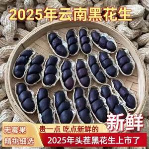 Gastric Health Selenium-rich Black Peanuts in Shell