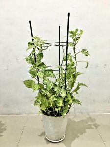 Penyangga tanaman  Rambatan Hijau 120cm Green wire