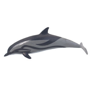 Ocean Simulation Whale and Dolphin Models Educational Toy