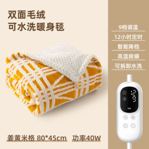 Double Control Heating Blanket Temperature Adjustment Switch Washable Antibacterial Leg Cover Home Use Single Or Double Person