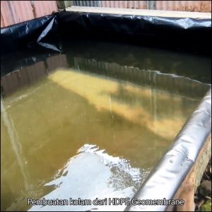 Plastik HDPE Geomembran 300 micron lebar 7 meter untuk kolam ikan / tambak / pengairan irigasi / embung dll