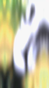 TWNB OVERSIZE JERSEY GD066 - JERSEY OVERSIZE KOREA - JERSEY DRYFIT - JERSEY KAOS OVERSIZE - JERSEY VINTAGE SERIES - JERSEY HYPE