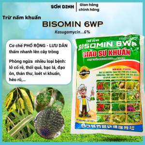 Thuốc trừ khuẩn Giáo sư khuẩn 6wp trừ nấm bệnh vi khuẩn bạc lá thối gốc loét sương mai cây trồng gói 500g bột mịn tan nhanh
