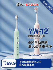 DSK Electric Toothbrush Rechargeable Sonic for Men And Women Home Use Couple Soft Bristle Dental Care Beauty Instrument