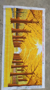 THÊU SẴN Tranh thêu chữ thập Phong cảnh hàng cây mùa thu lá vàng H202 128*68cm thêu kín