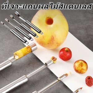 อุปกรณ์เจาะแกนผลไม้ ที่เจาะแกนผลไม้ อุปกรณ์คว้านเม็ด ที่คว้านมะยงชิด เจาะแกนมะยงชิด อุปกรณ์เจาะแกนแอปเปิ้ล ที่เจาะแกนแอปเปิ้ล