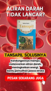 Tansapil Obat Stroke China Ampuh BPOM