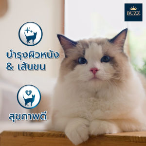 Buzz Netura อาหารแมวพรีเมียมโฮลิสติก-เกรนฟรี สูตรเนื้อปลาและเนื้อไก่ สําหรับลูกแมว > 1 เดือน และ แมวโต > 1 ปีขึ้นไป 4 kg