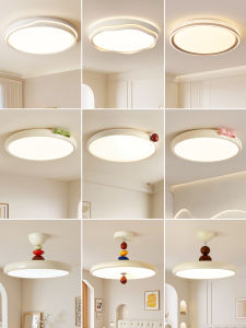 DGY | French Creamy Creative Eye-Protecting Ceiling Light