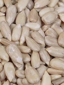 Roasted Five Spice Creamy Sunflower Seeds for Commercial Use