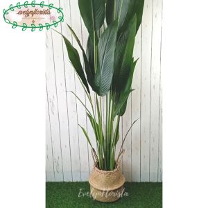 Pohon Artificial Tanaman Hias Daun Pisangan Heliconia T210 Latex Cover Purun Belly Medium Dekorasi Ruang Tamu