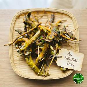 Akar kecubung segar / akar daun kecubung 250 gram-az