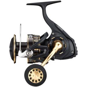 Daiwa | Saltwater Fishing Spinning Reel